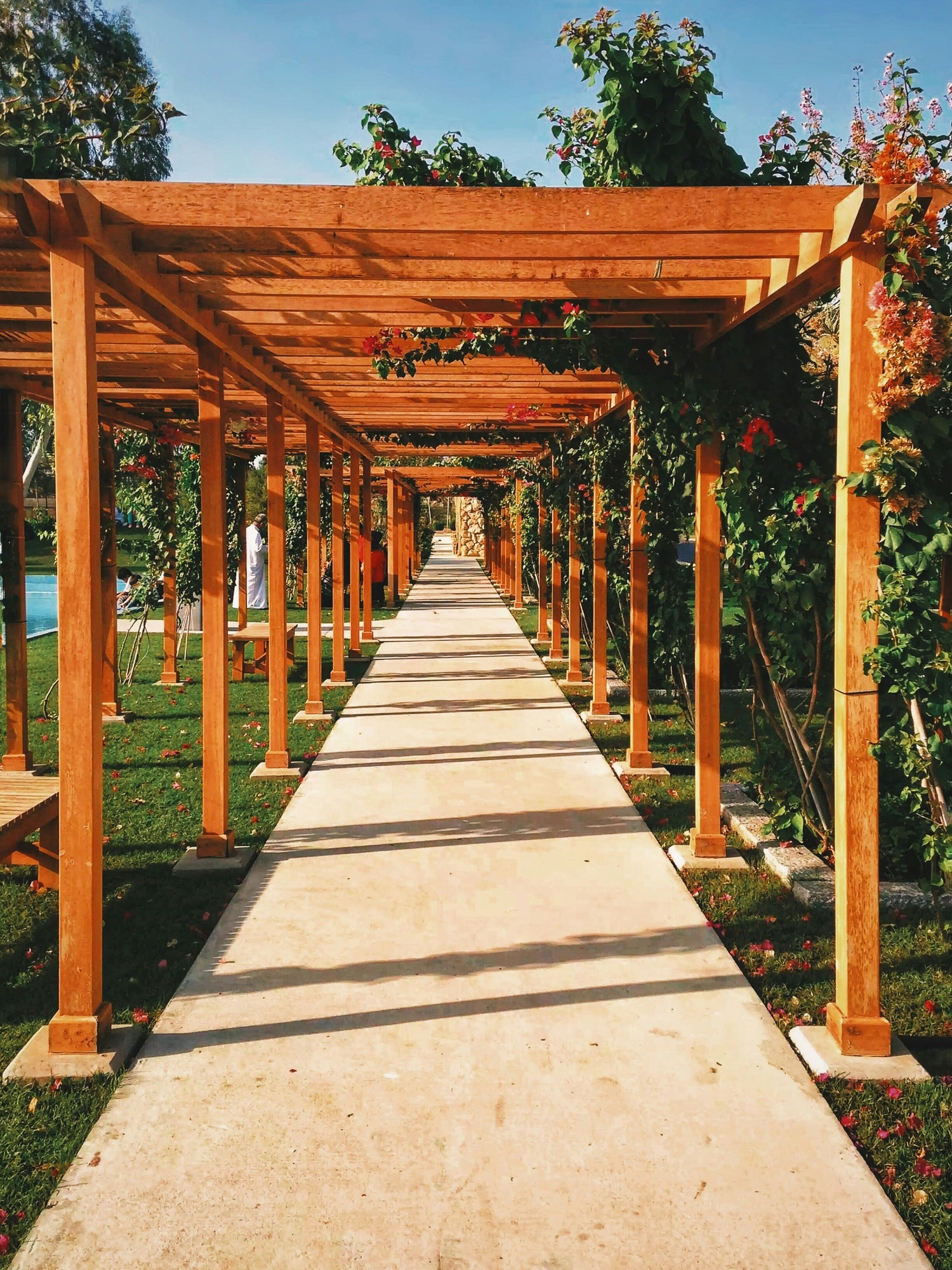 Pergola et Abris de jardin - Ma boutique