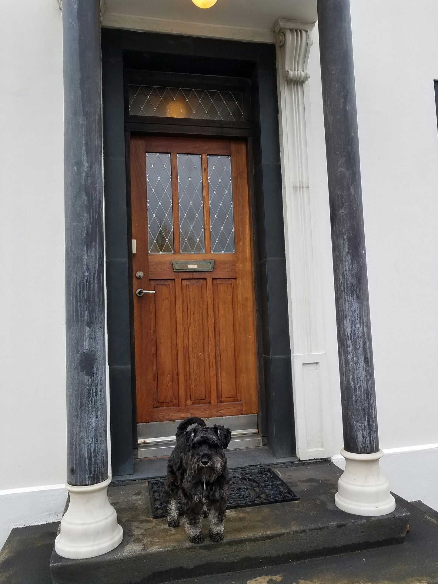 Portes d'entrée et de service - Ma boutique